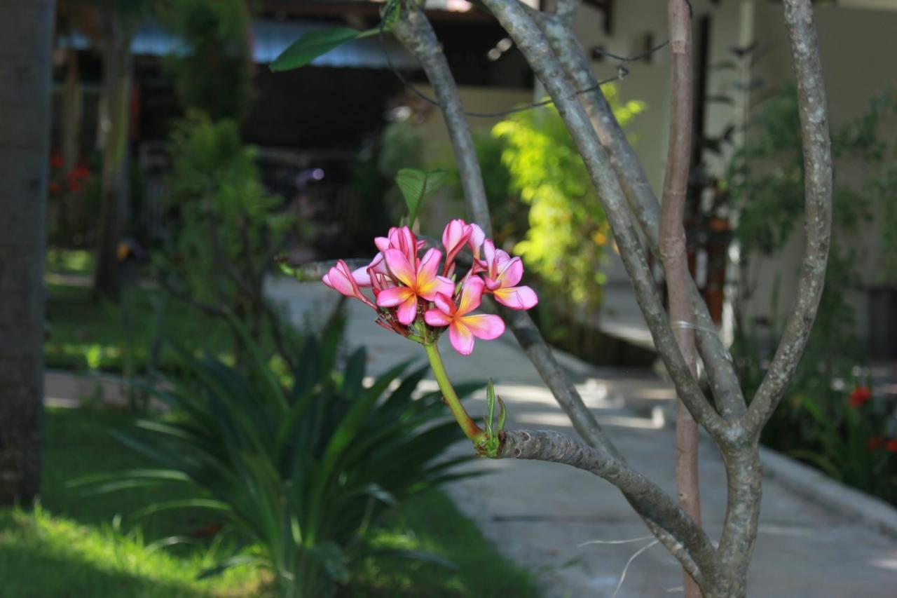Herry Homestay Kuta  Exteriér fotografie