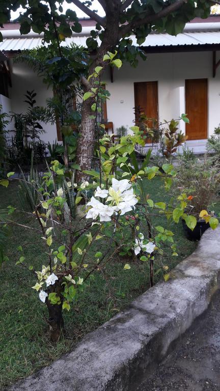 Herry Homestay Kuta  Exteriér fotografie