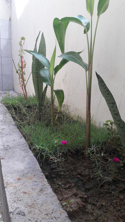 Herry Homestay Kuta  Exteriér fotografie